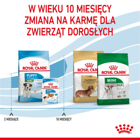 Royal Canin SHN Mini Puppy Sausas Maistas (8 kg)