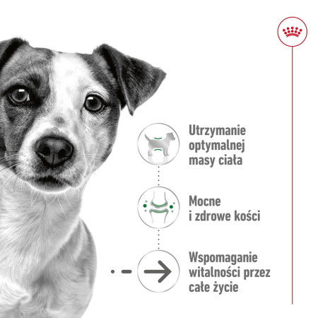 Royal Canin SHN Mini Ageing (3,50 kg)