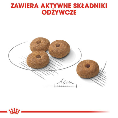 Royal Canin CCN MINI STERILISED Sausas maistas šunims (8 kg)