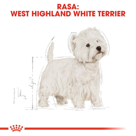 Royal Canin BHN Vesternų Highland White Terrier suaugusiųjų sausa maistas - 3kg