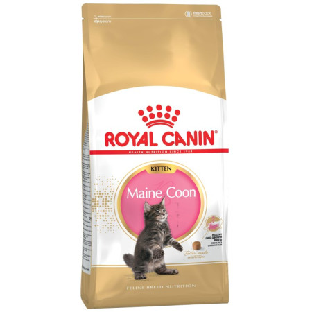 Royal Canin Maine Coon kačiukų maistas - 2kg