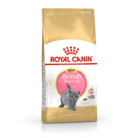 Royal Canin FBN Kit Brit Shorth kačių maistas - 2kg