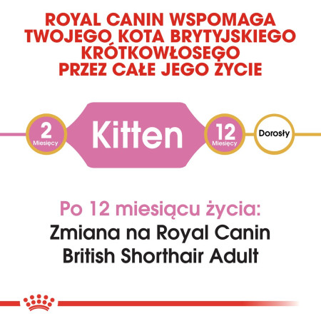 Royal Canin FBN Kit Brit Shorth kačių maistas - 2kg