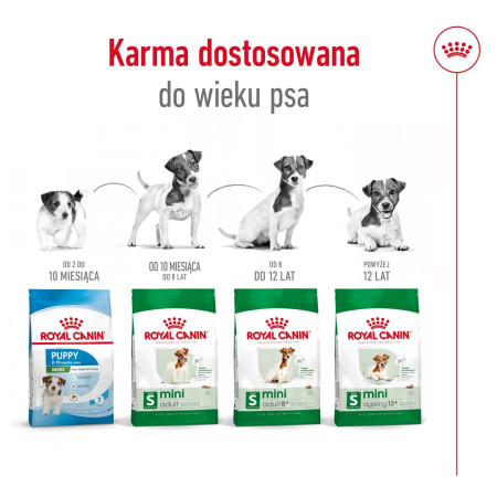 Royal Canin Mini Mature maistas šunims (0,8 kg)