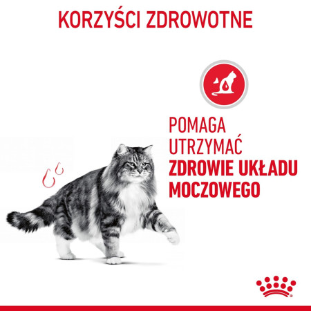 Royal Canin FCN Urinary Care (10 kg)