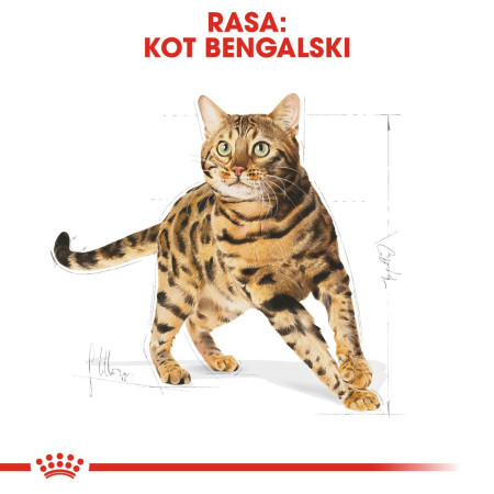 Royal Canin Bengal Adult (2 kg)