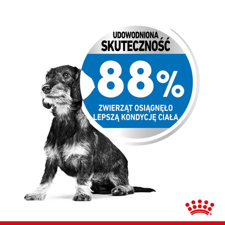 Royal Canin CCN MINI LIGHT WEIGHT CARE - sausa karma šunims - 3kg