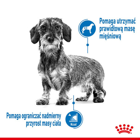 Royal Canin CCN MINI LIGHT WEIGHT CARE - sausa karma šunims - 3kg