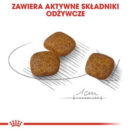 Royal Canin Mini Urinary Care - sausa karma šunims - 1kg