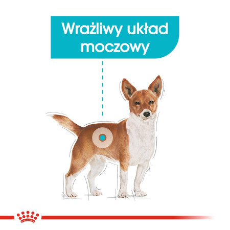 Royal Canin Mini Urinary Care - sausa karma šunims - 1kg