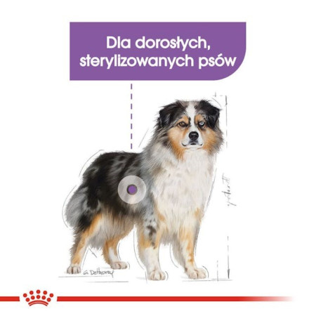 Royal Canin CCN Medium Sterilised Adult Dog 12kg