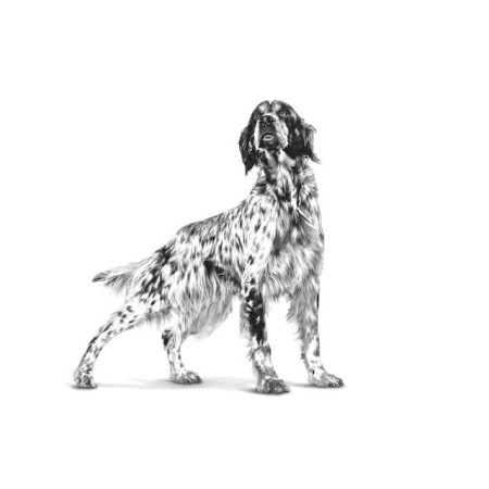 ROYAL CANIN VHN Šunų maistas Hepatic 7 kg