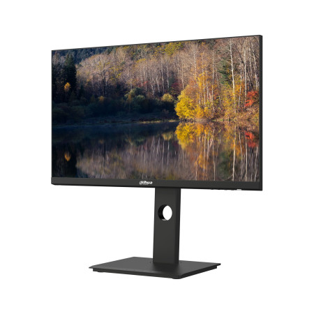 Dahua 23.8" LCD Monitor DHI-LM24-P301A