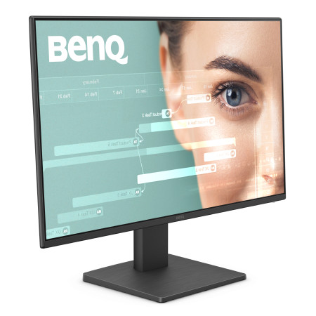 BenQ GW2491 Kompiuterio Monitorius 23.8" Full HD Juodas