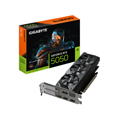 GIGABYTE GeForce RTX 5050 OC Low Profile 8 GB GDDR6 Grafikos Plokštė