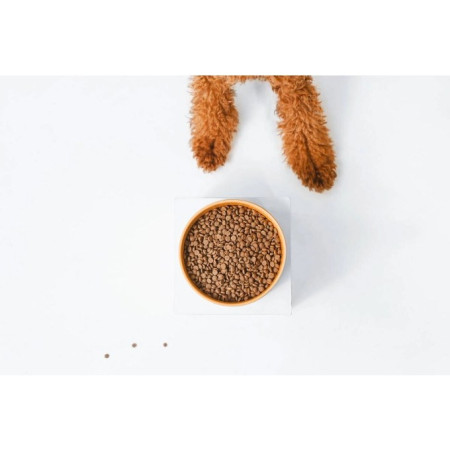 Nature's Protection Suaugusių Šunų Maistas Be Grūdų su Lašiša ir Kriliu Mažiems Veislėms 1.5kg