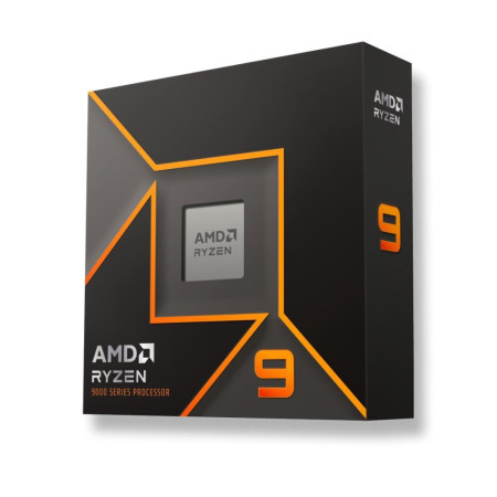 AMD Ryzen 9 9900X3D procesorius
