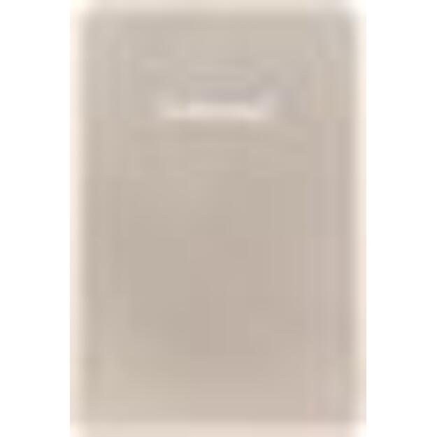 POWER BANK USB 5000MAH MAG/CHAMPAGNE 7344021 INTENSO 1