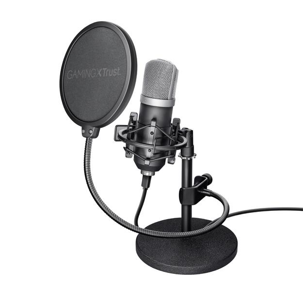 MICROPHONE GXT 252 EMITA/21753 TRUST