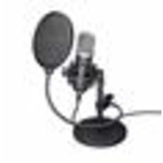 MICROPHONE GXT 252 EMITA/21753 TRUST 1
