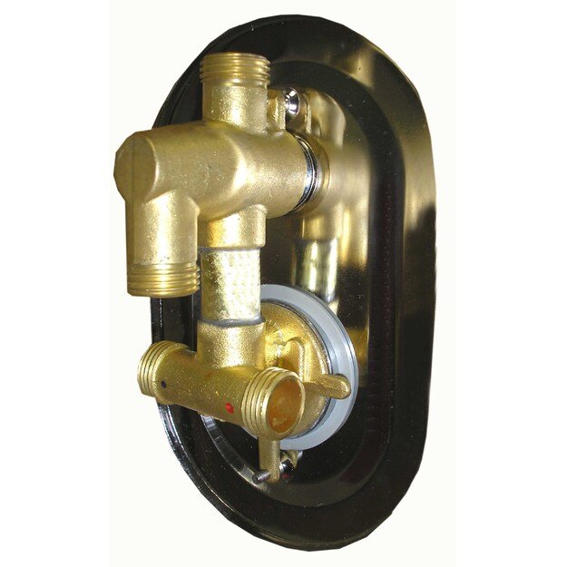 Mai&scaron;ytuvas du&scaron;o įleidžiamas  A2212 1