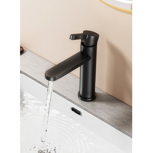 Mai&scaron;ytuvas praustuvui B-50 black 2