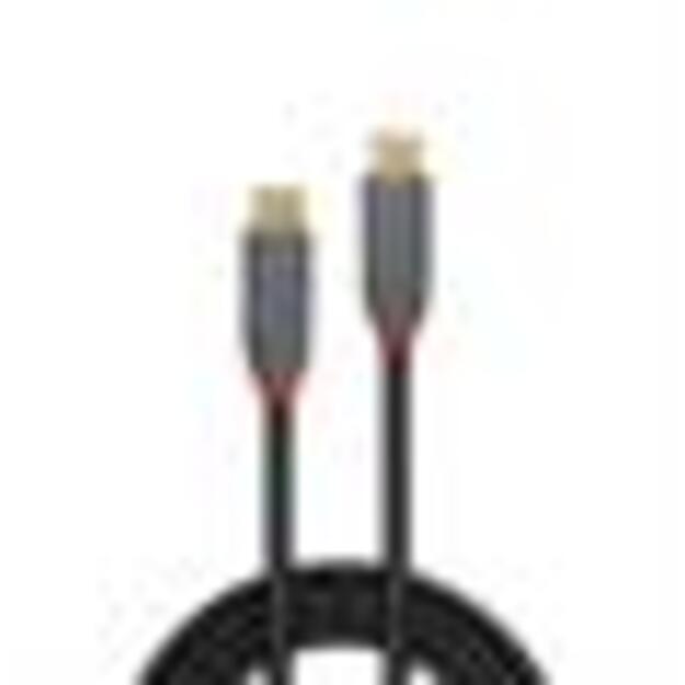 CABLE USB3.2 C-C 1M/ANTHRA 36901 LINDY 1