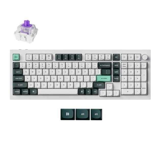 KEYBOARD WRL Q5 HE RGB/SHELL WHITE Q5H-P1 KEYCHRON