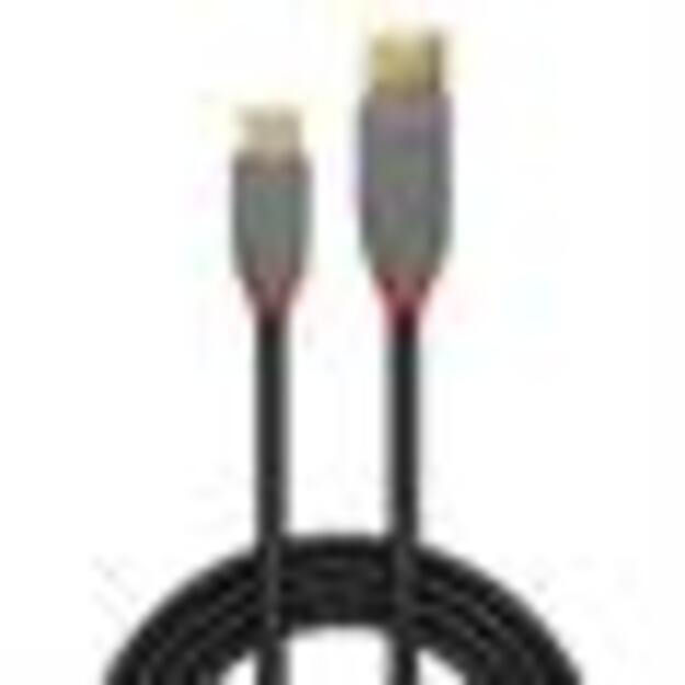 CABLE USB2 C-A 3M/ANTHRA 36888 LINDY 1