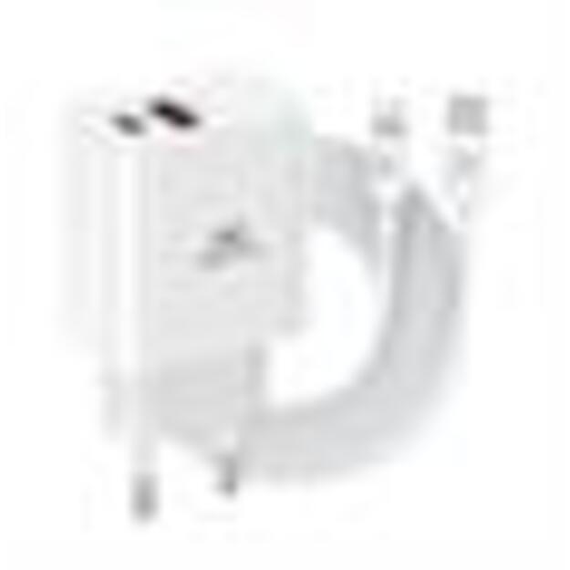 MOBILE CHARGER WALL/WHITE PS4102 WD5 RIVACASE 1