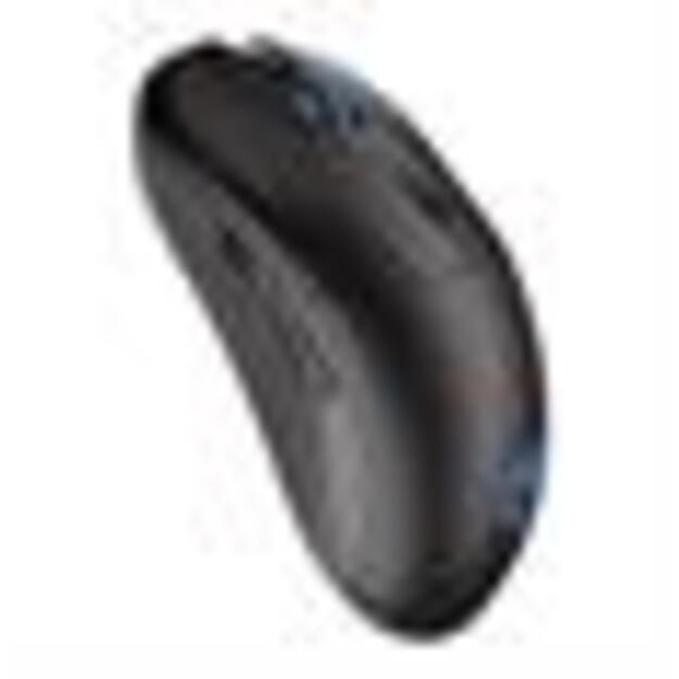 MOUSE USB OPTICAL WRL GEM PLUS/BLACK EY6A013 ENDORFY 1