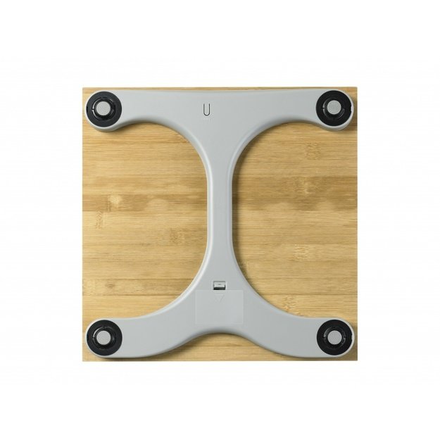 PS 440 Bamboo Scale 2