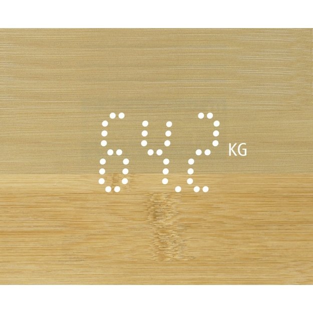 PS 440 Bamboo Scale 4