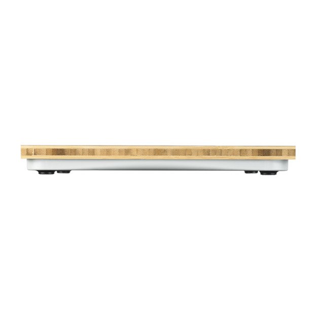 PS 440 Bamboo Scale 3