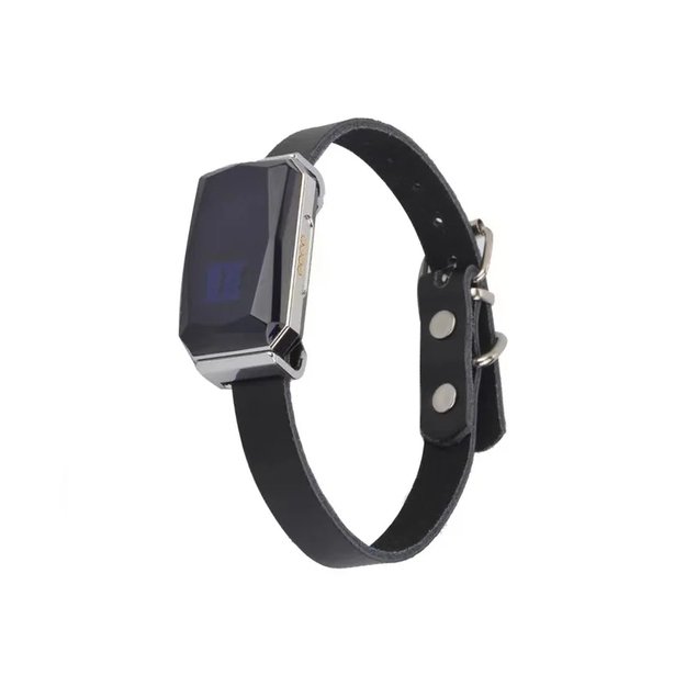 GPS gyvūnų sekiklis Feelspot FS-SC01GPS