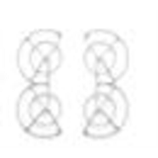 DRONE ACC NEO PROPELLER GUARD/CP.FP.00000187.01 DJI 1