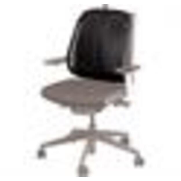 CHAIR MESH BACK SUPPORT/9191301 FELLOWES 1