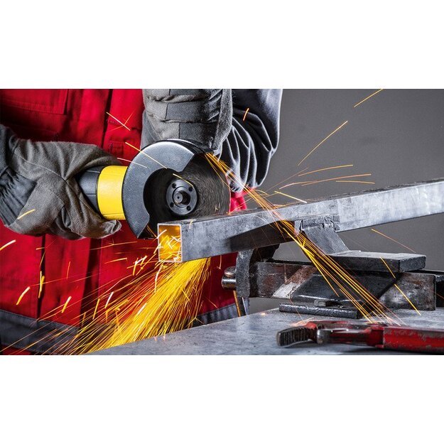 Kampinis &scaron;lifuotuvas Trotec PAGS 10-115 10