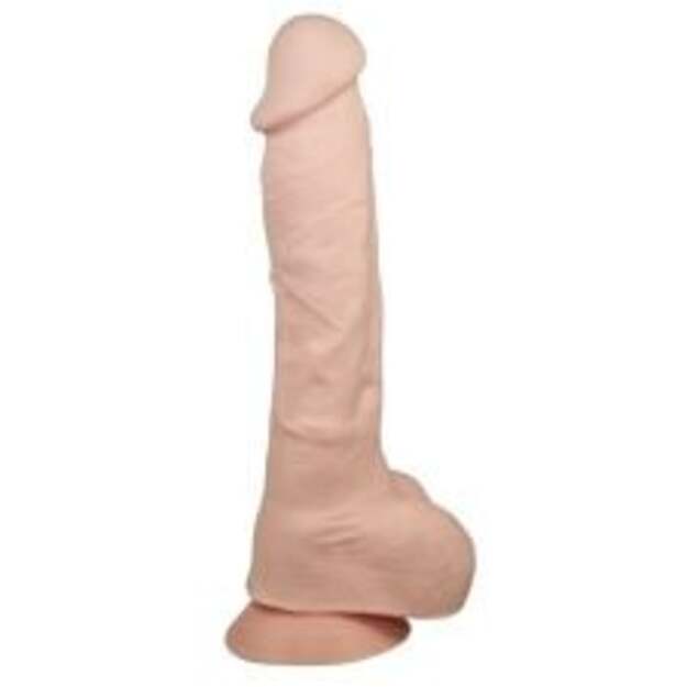 Falo imitatorius Davitis