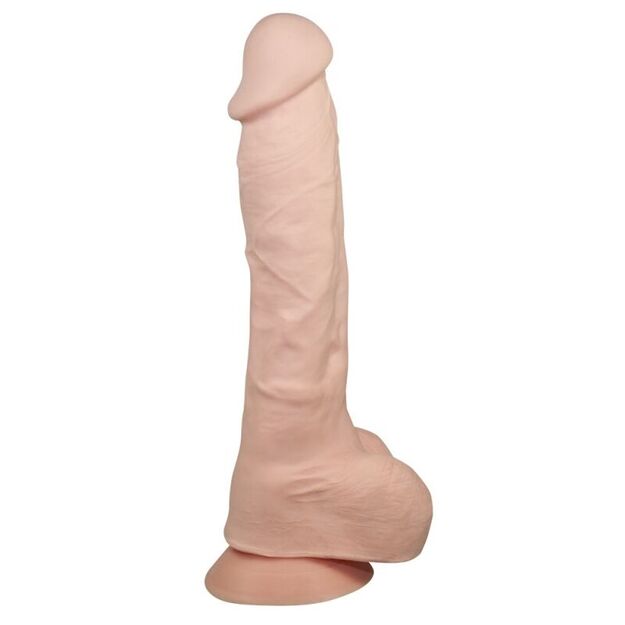 Falo imitatorius Davitis 1