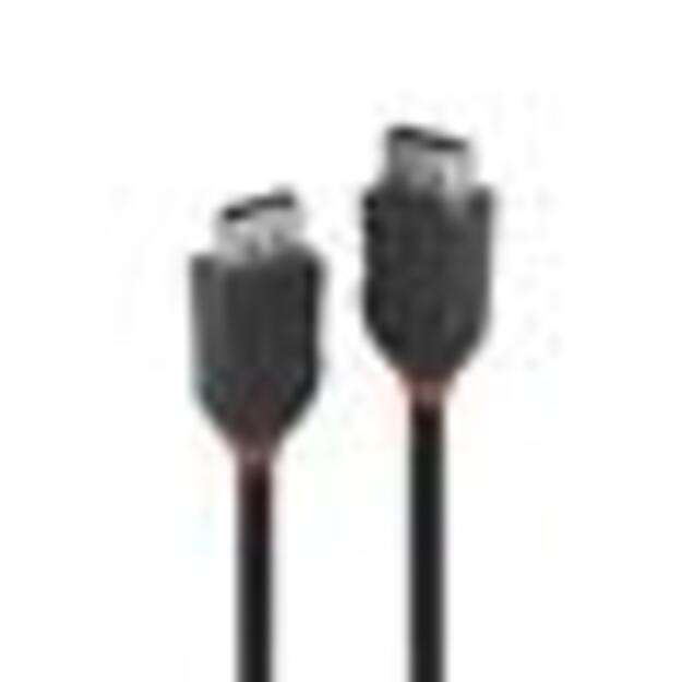 CABLE DISPLAY PORT 0.5M/BLACK 36490 LINDY 1