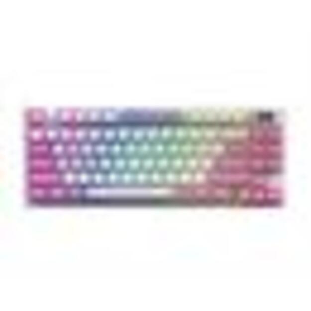KEYBOARD GAMING VIOLET US/FORGE GK600 TKL W VIOLET MSI 1