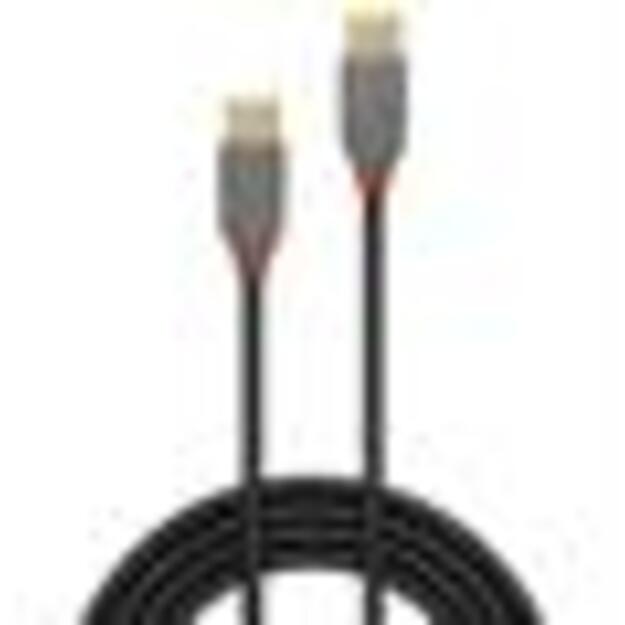CABLE USB2 TYPE C 1M/ANTHRA 36871 LINDY 1