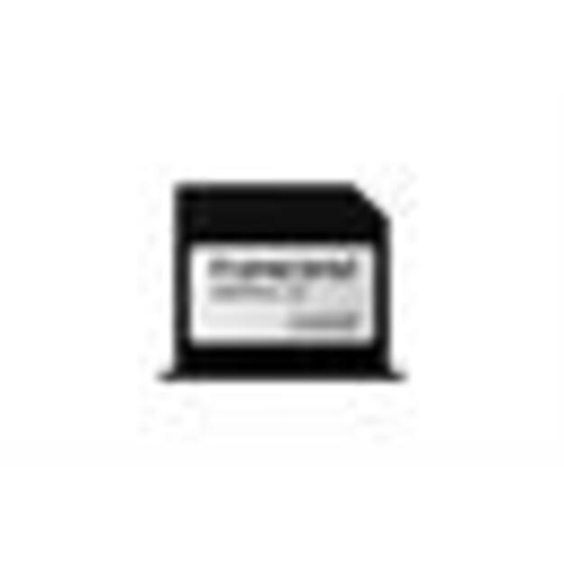 MEMORY JETDRIVE LITE 350 256GB/TS256GJDL350 TRANSCEND 1
