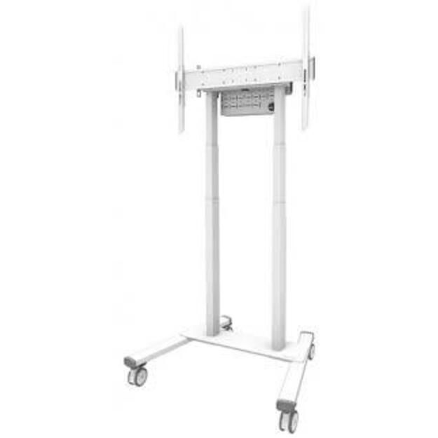 TV SET ACC FLOOR STAND 37-100 /FL55-875WH1 NEOMOUNTS