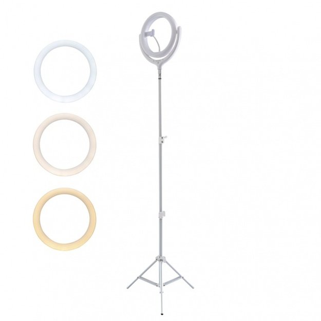 Selfie Ring Light LoomiPod Floor Lamp white