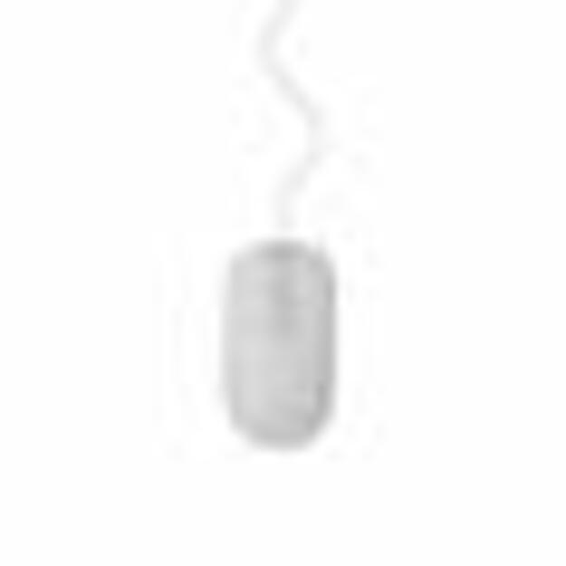 MOUSE USB OPTICAL WHITE/SILVER/MUS-4B-06-WS GEMBIRD 1