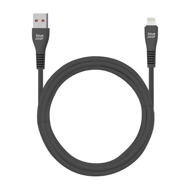 Cable USB A to Lightning Blue Star 2A 12W 1 m DC99I black 1