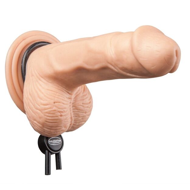 Penio užveržėjas Mailis 1