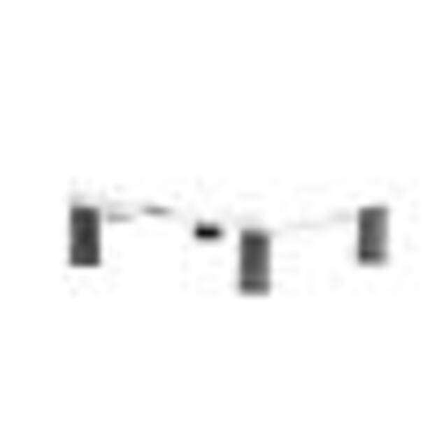 MONITOR ACC RISER STANDARD/PLATINUM 91712 FELLOWES 1